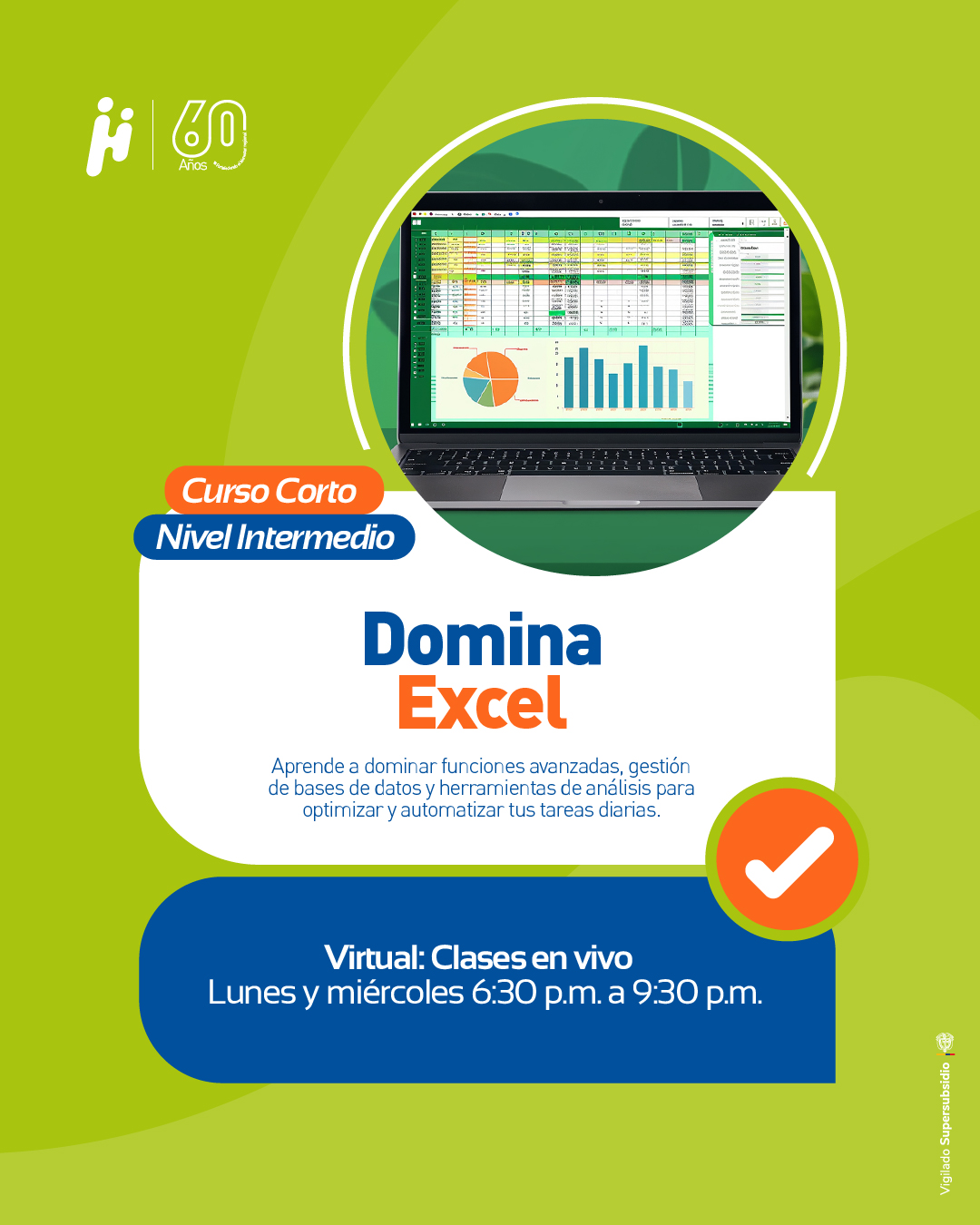 Excel Intermedio Virtual